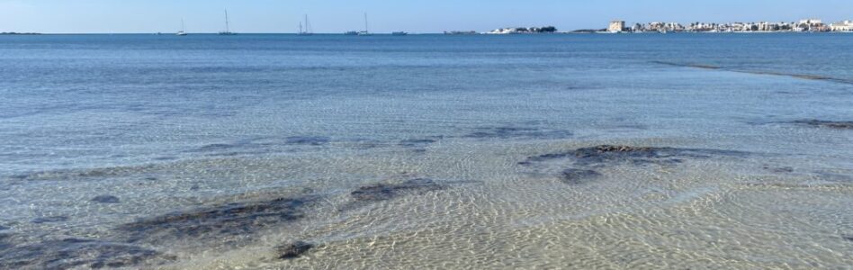 Coast in Puglia. View of Porto Cesareo shore with crystal clear waters