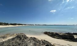 Sandy beach, wild beach coast, view on large and long bay with sand dunes