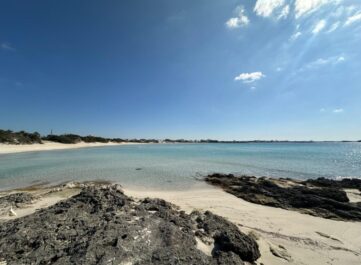 Sandy beach, wild beach coast, view on large and long bay with sand dunes