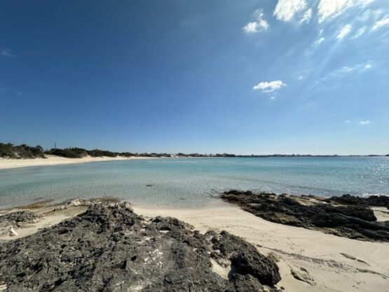 Sandy beach, wild beach coast, view on large and long bay with sand dunes